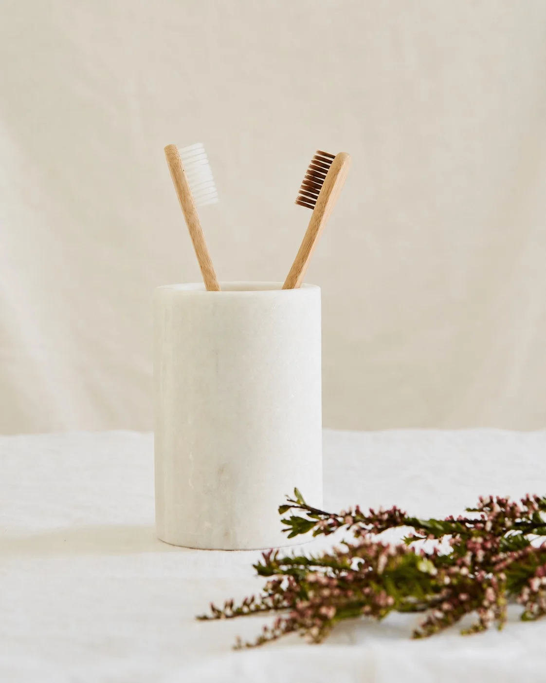 Bamboo Adult Toothbrush Set of 2